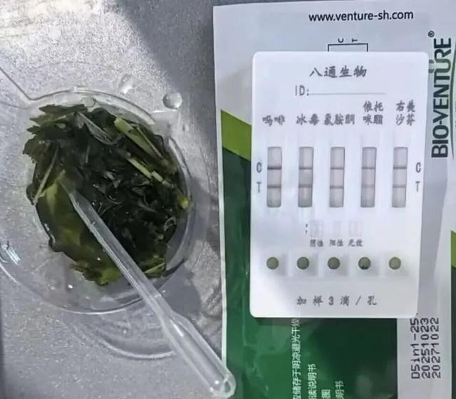△民警对植物进行检测