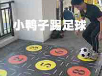 小鸭子踢足球-幼儿训练教案-光电地板 课程名称：小鸭子踢足球适用人群：3-6岁训练目的：
