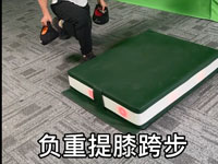 智能跳箱教案-负重提膝跨步 教案名称：负重提膝跨步 【查看更多】