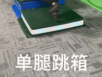 智能跳箱教案-单腿跳箱 教案名称：单腿跳箱 【查看更多】