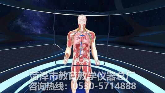 教学仪器