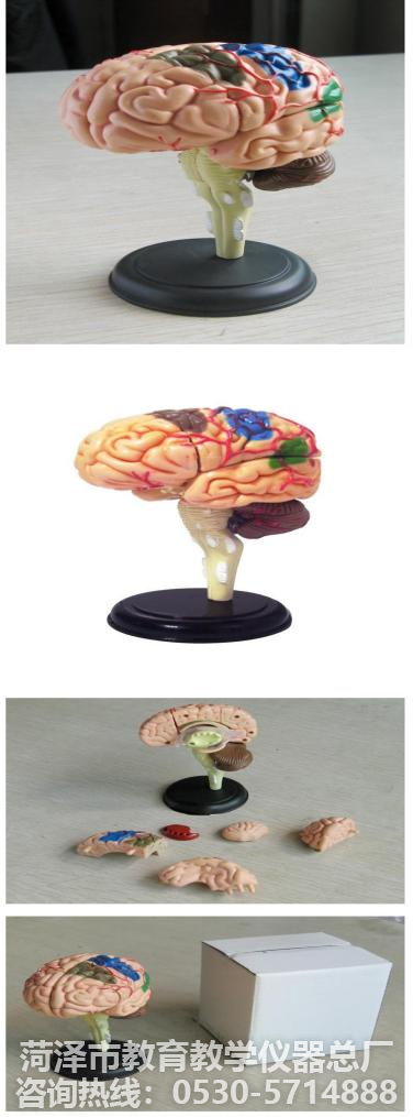 教学仪器