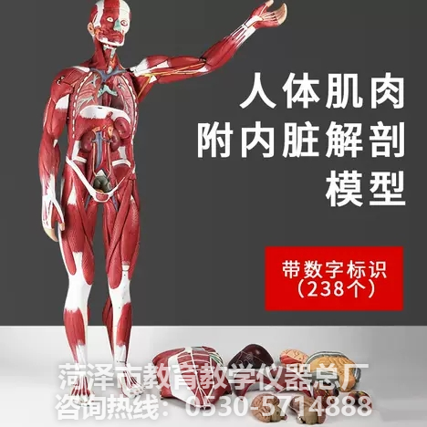 教学仪器